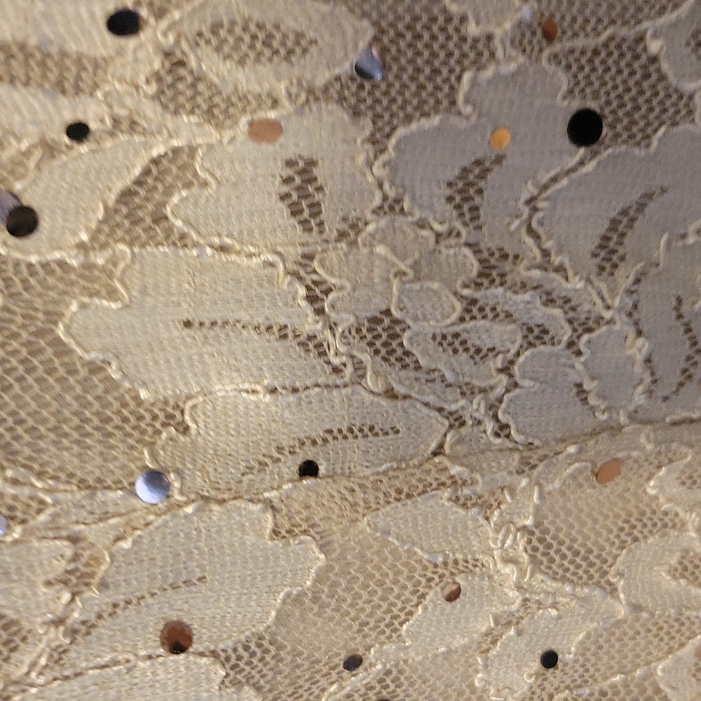 Long evening dress Nude 1x lace